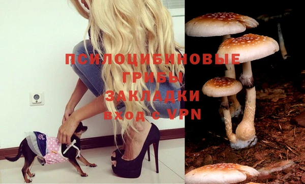 метадон Аркадак