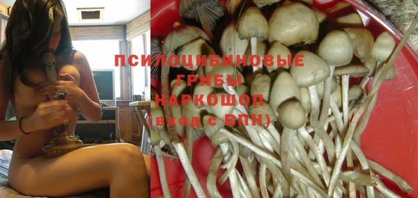 бошки Арсеньев
