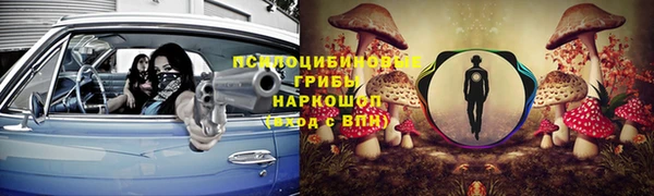 спиды Осинники