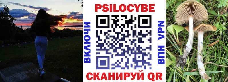 Галлюциногенные грибы мухоморы Советская Гавань