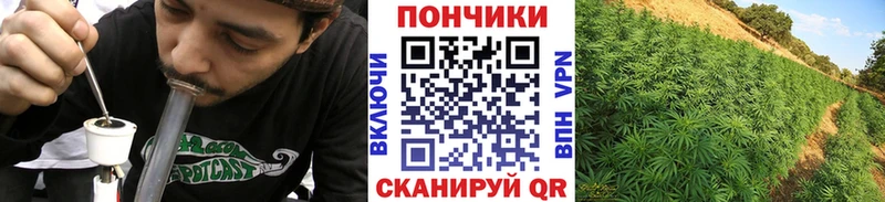 МАРИХУАНА THC 21% Советская Гавань